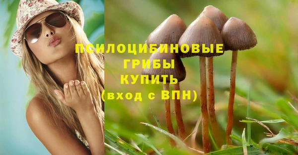 PSILOCYBIN Беломорск